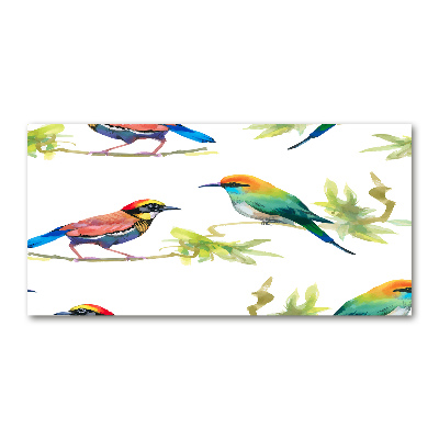 Glass art print Exotic birds