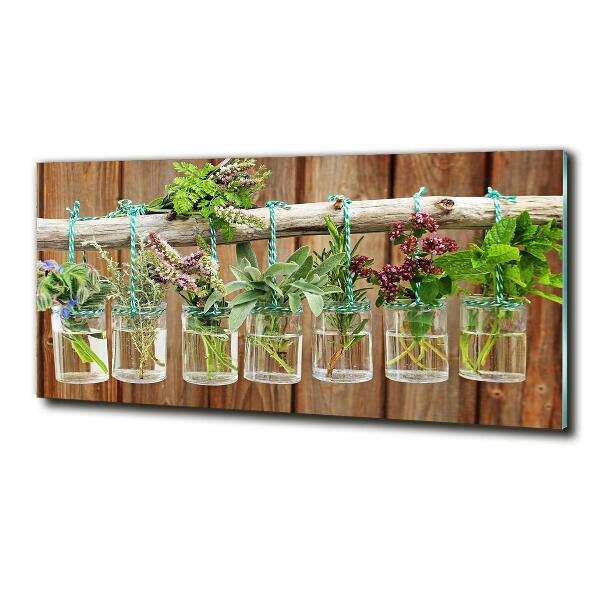 Glass wall art Herbs in jars