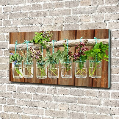 Glass wall art Herbs in jars