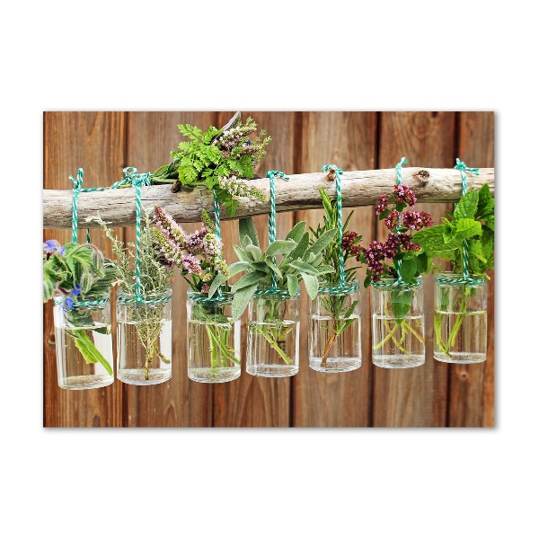 Glass wall art Herbs in jars