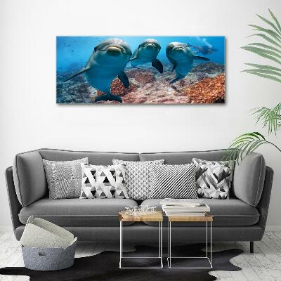 Glass art print Dolphins