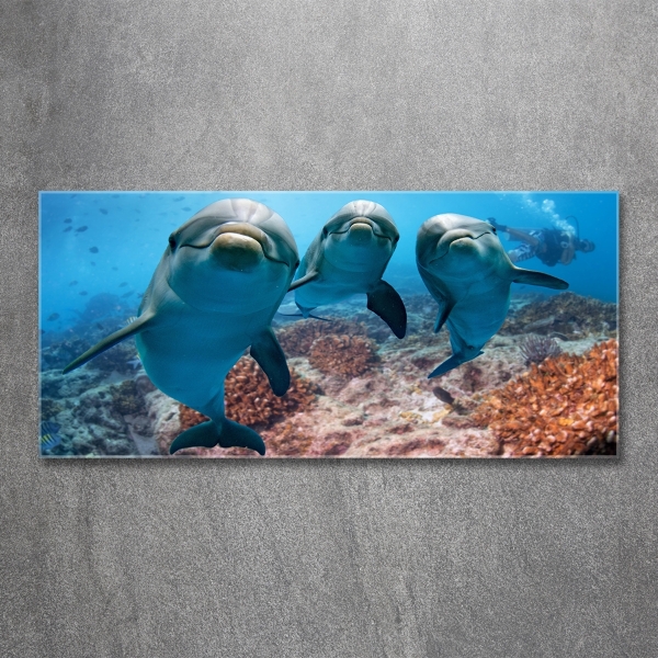 Glass art print Dolphins