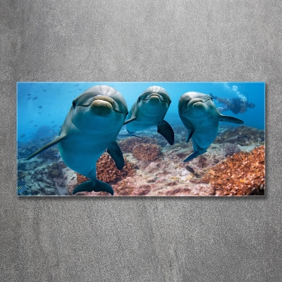 Glass art print Dolphins