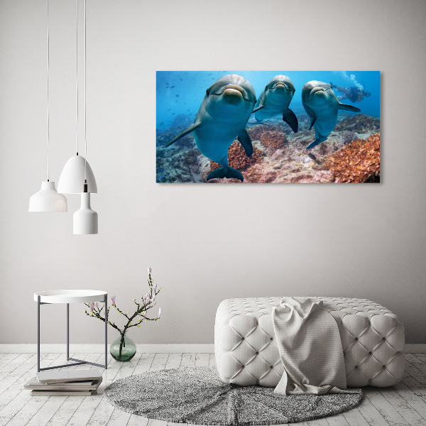 Glass art print Dolphins