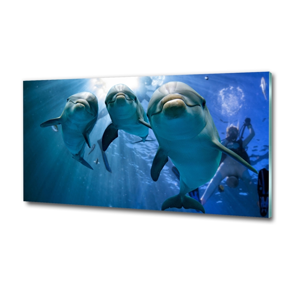 Wall art on glass Three dolphins