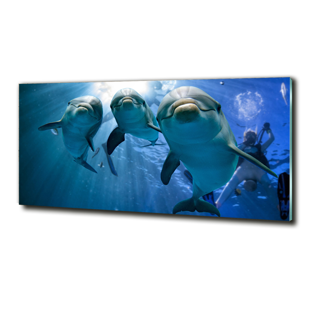 Wall art on glass Three dolphins