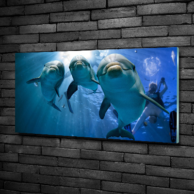 Wall art on glass Three dolphins