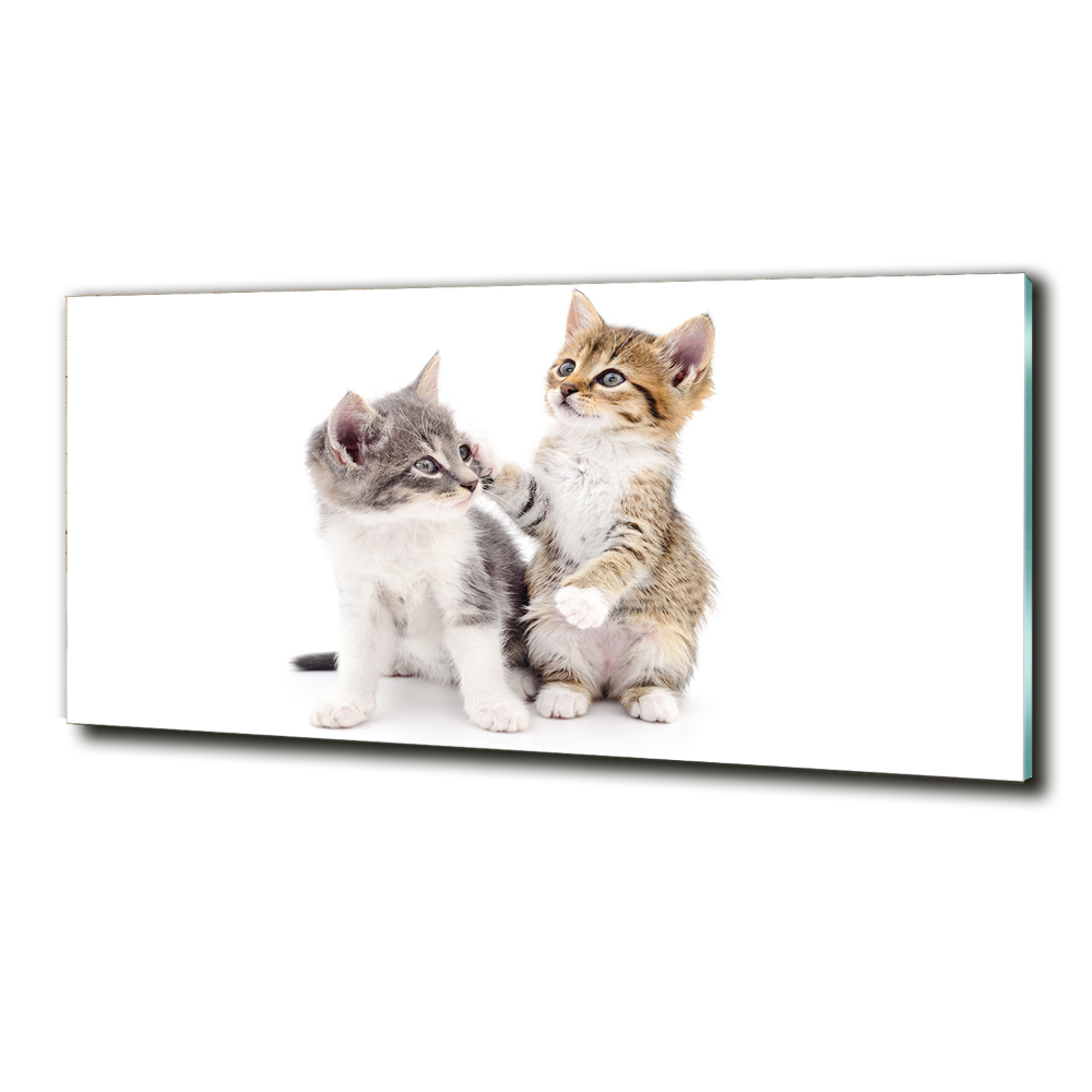 Glass art print Two little cats