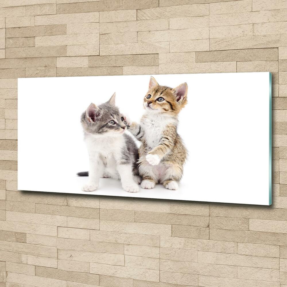 Glass art print Two little cats