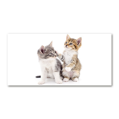 Glass art print Two little cats