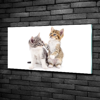 Glass art print Two little cats