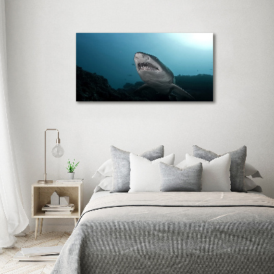 Wall art on glass Large shark