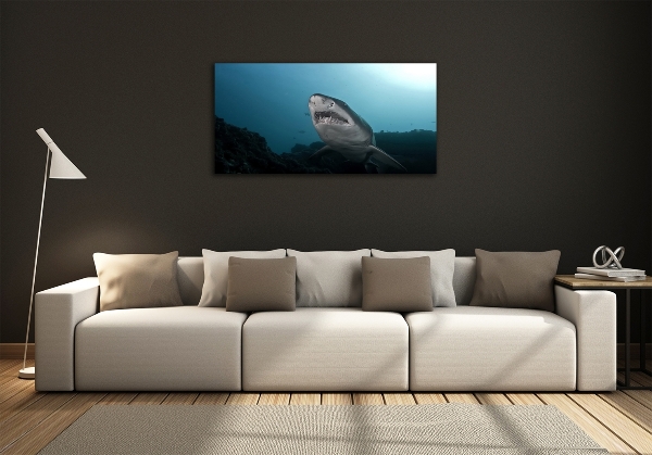 Wall art on glass Large shark