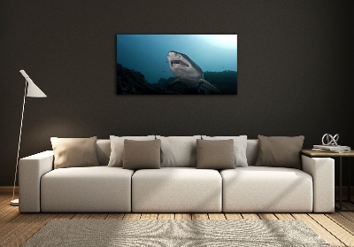 Wall art on glass Large shark