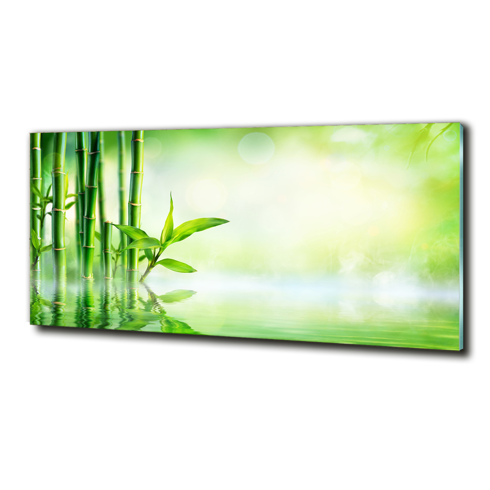 Wall art on glass Bamboo