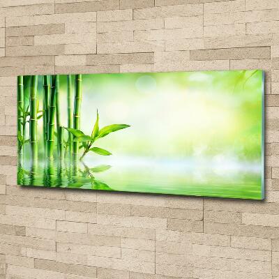 Wall art on glass Bamboo