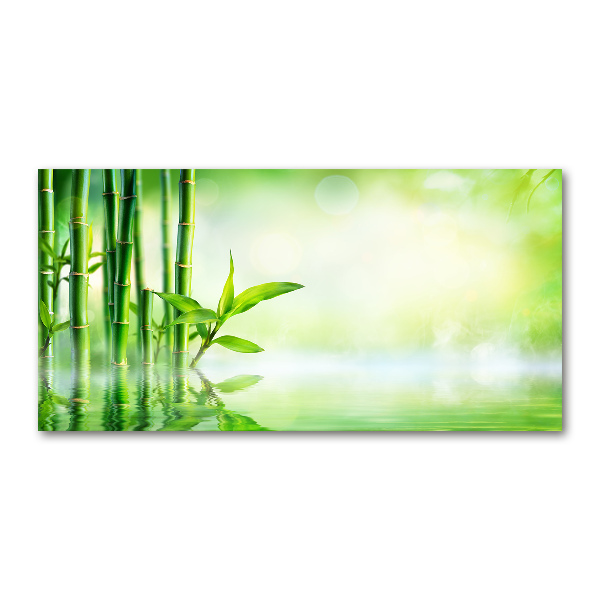 Wall art on glass Bamboo