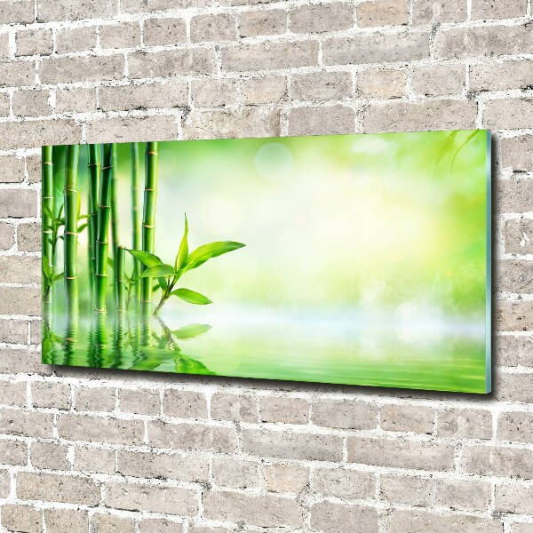 Wall art on glass Bamboo