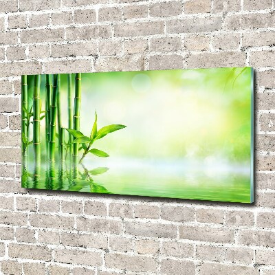 Wall art on glass Bamboo