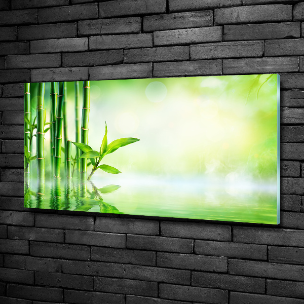 Wall art on glass Bamboo