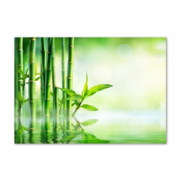 Wall art on glass Bamboo