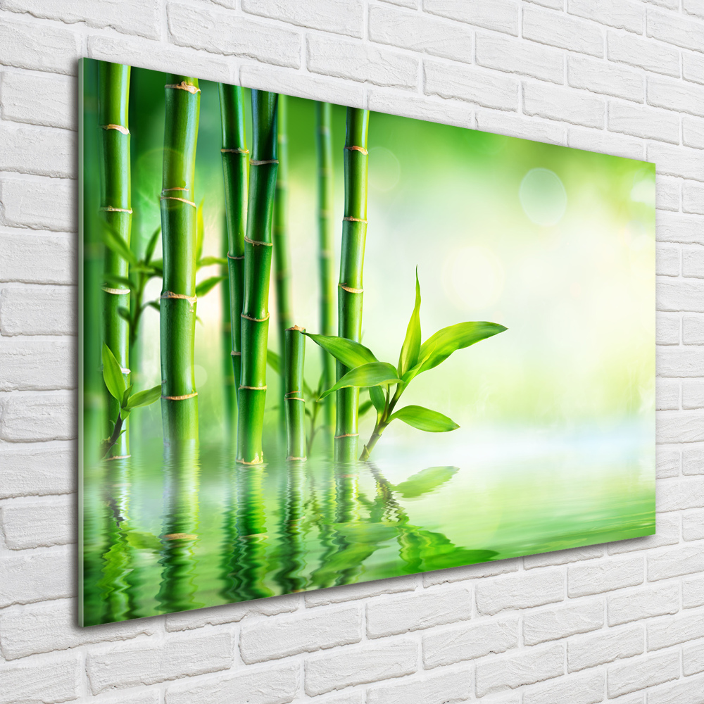 Wall art on glass Bamboo