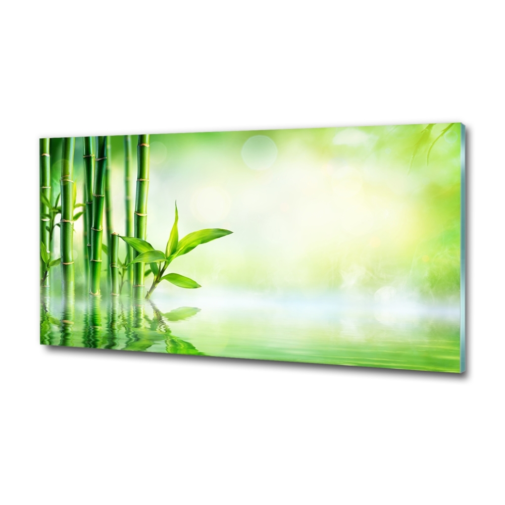 Wall art on glass Bamboo