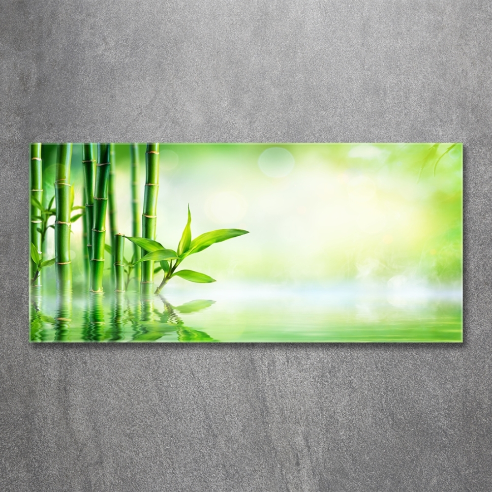 Wall art on glass Bamboo