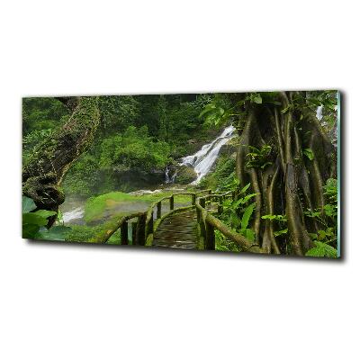 Glass art print Waterfall in the jungle