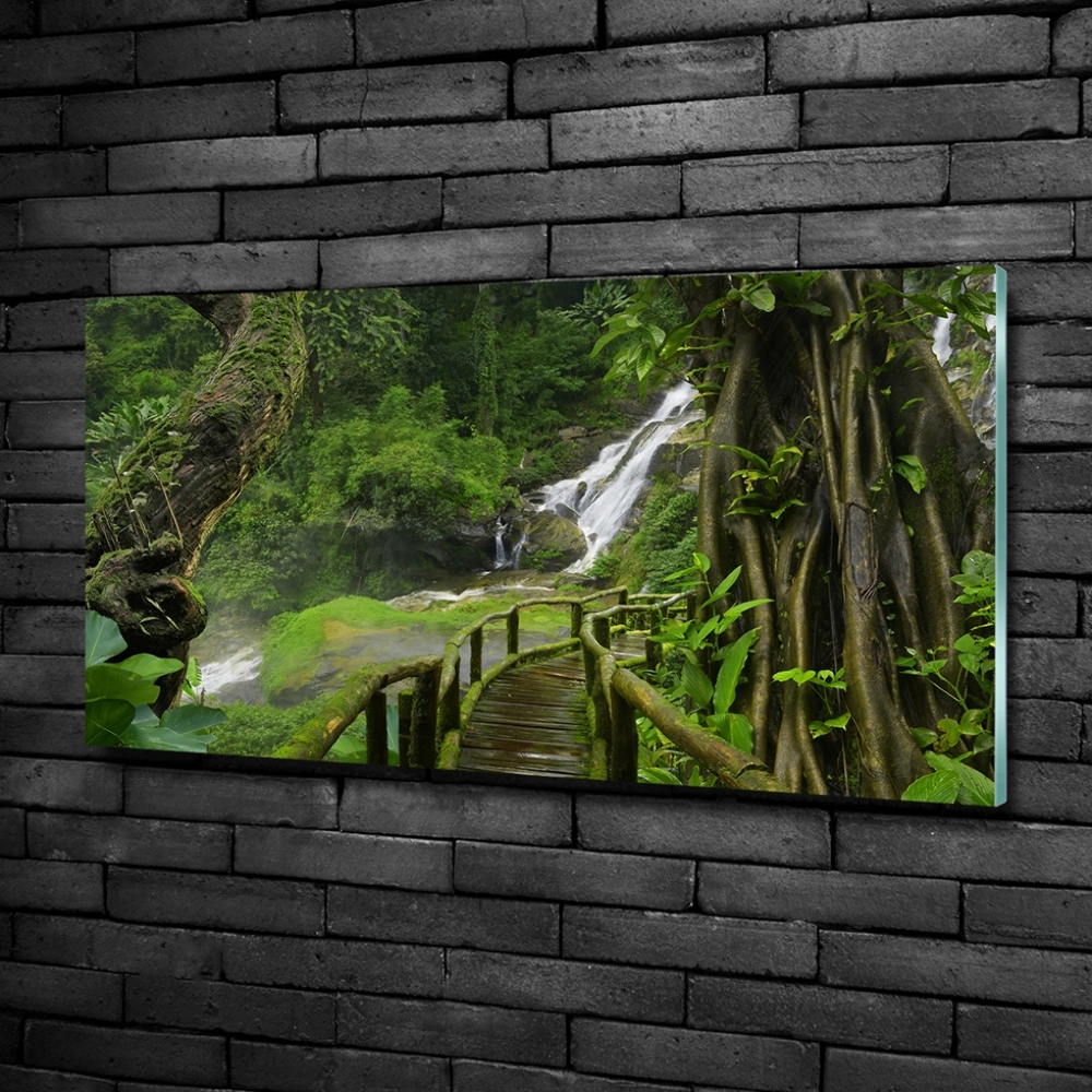 Glass art print Waterfall in the jungle