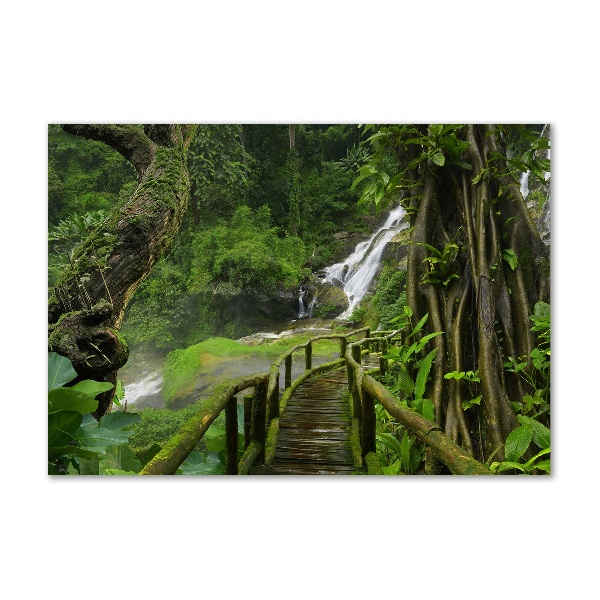 Glass art print Waterfall in the jungle