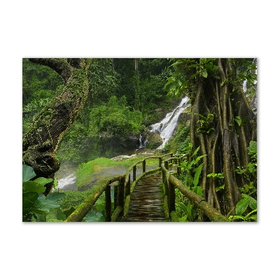 Glass art print Waterfall in the jungle