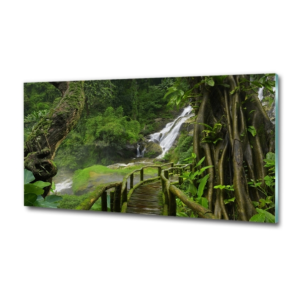 Glass art print Waterfall in the jungle