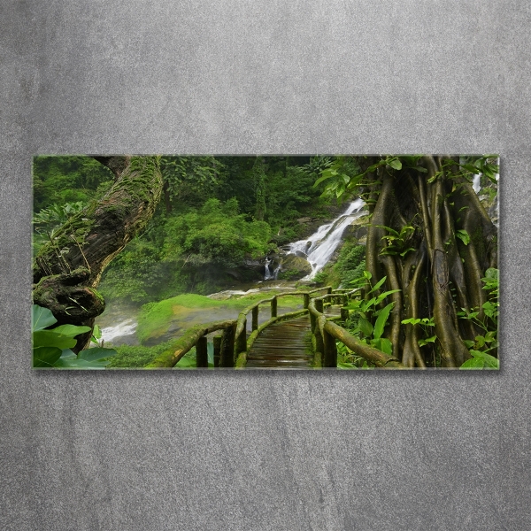 Glass art print Waterfall in the jungle