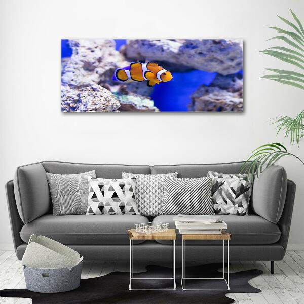 Glass art print Coral reef clowns