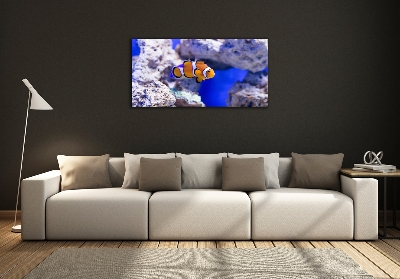 Glass art print Coral reef clowns