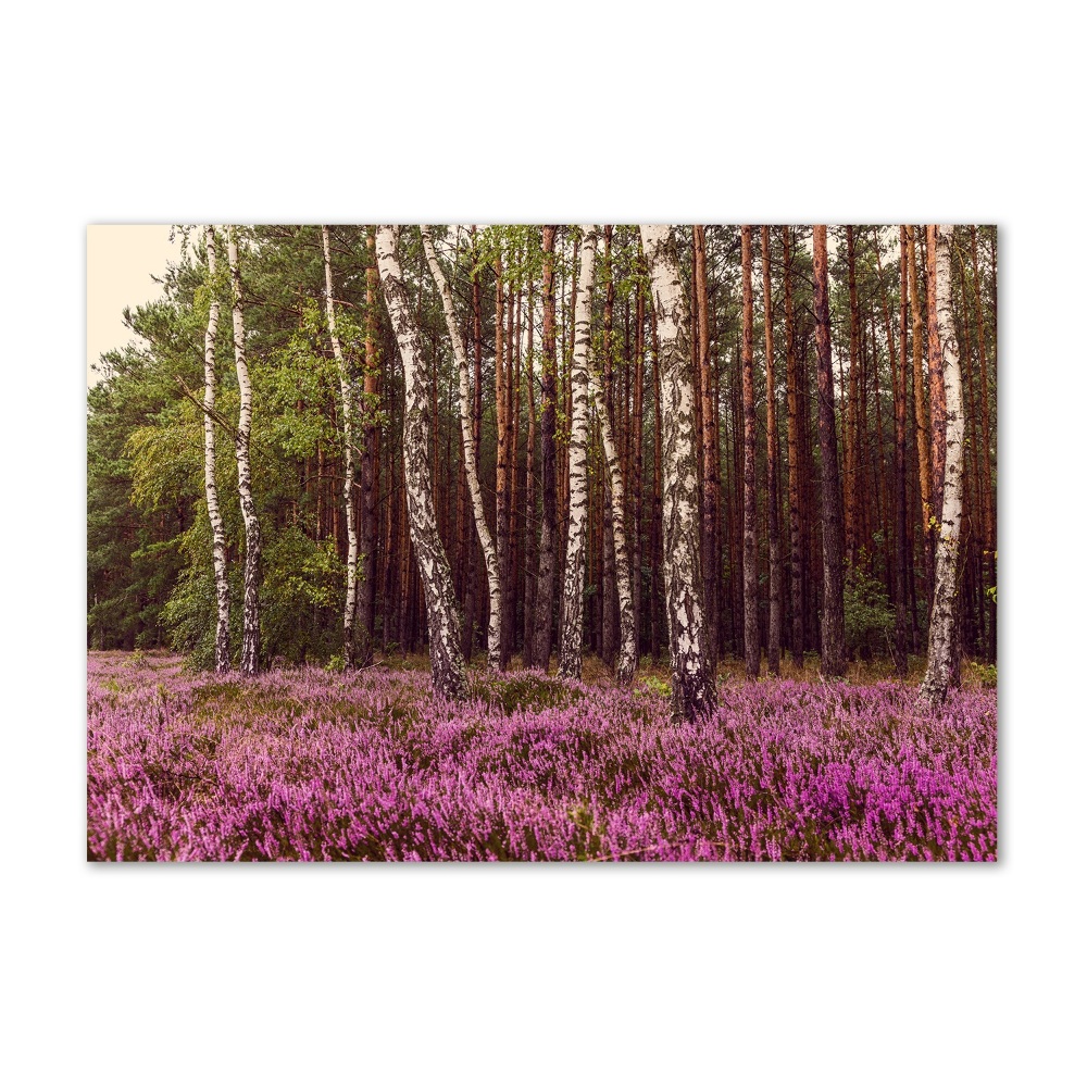 Glass art print Moor