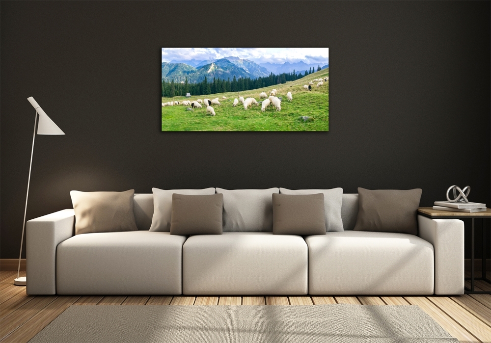 Wall art on glass Sheep in the tatra mountains