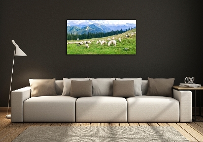 Wall art on glass Sheep in the tatra mountains