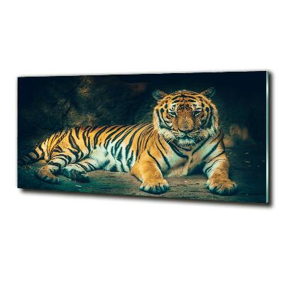 Wall art on glass Tiger in a cave