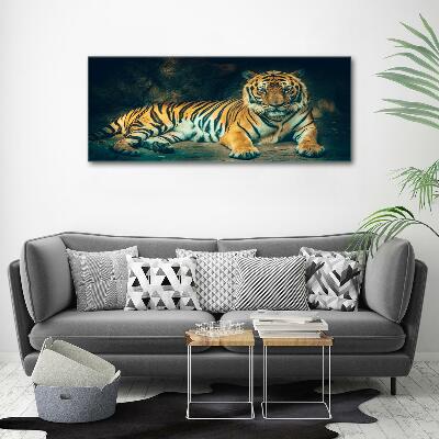 Wall art on glass Tiger in a cave