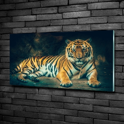 Wall art on glass Tiger in a cave