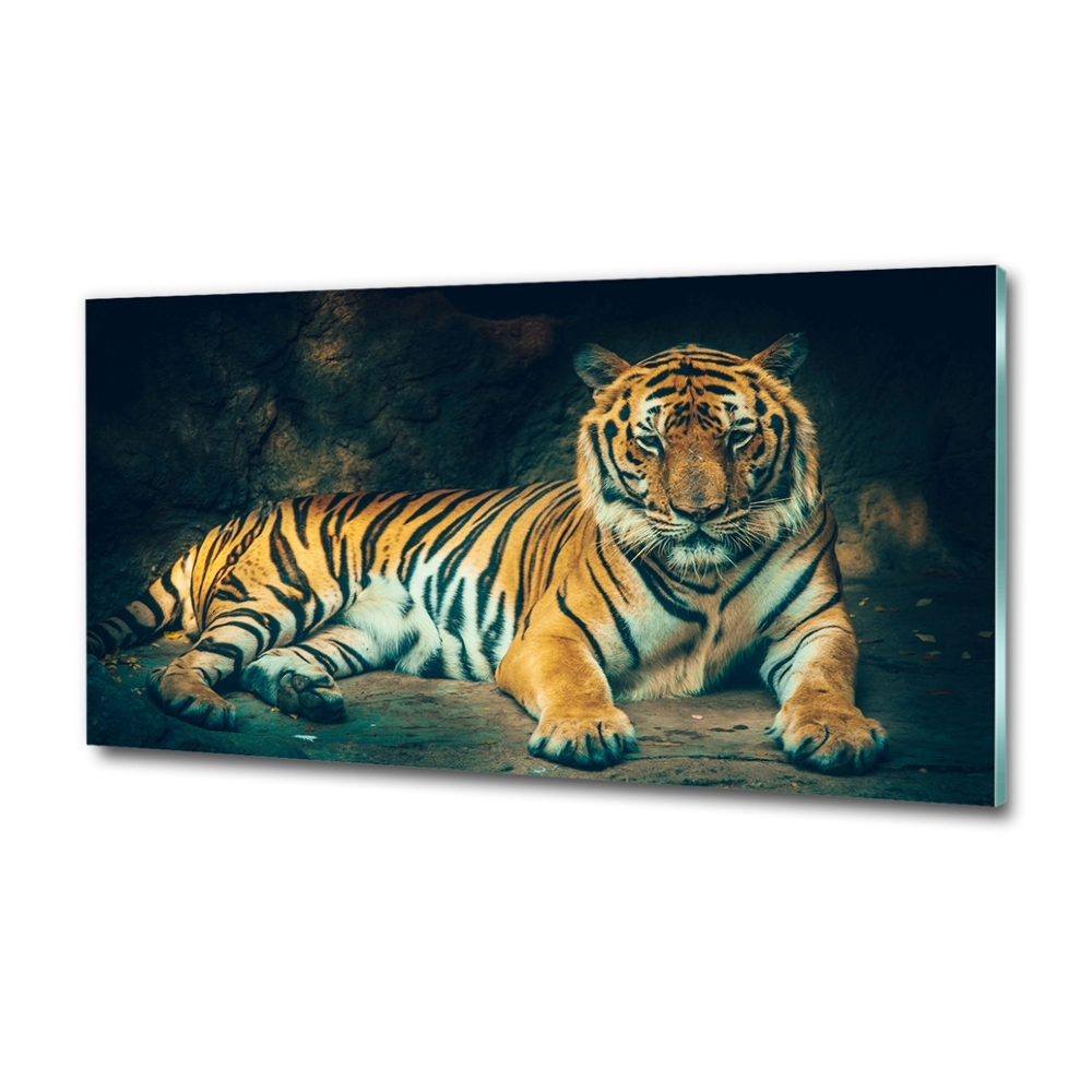 Wall art on glass Tiger in a cave