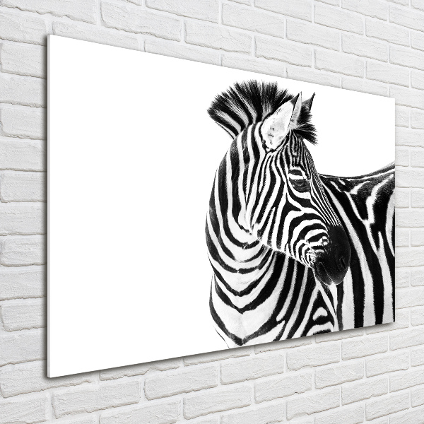 Glass wall art Zebra in the snow