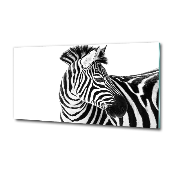 Glass wall art Zebra in the snow