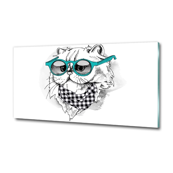 Cat with glasses