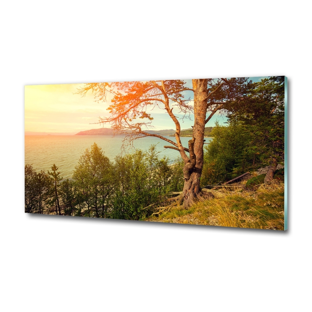 Wall art on glass Scandinavian lake