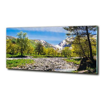 Wall art on glass River in the mountains