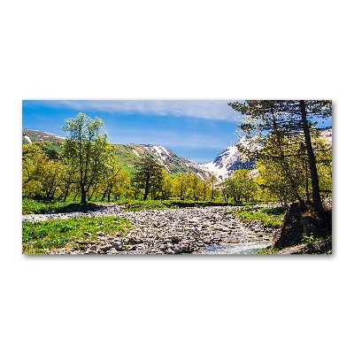 Wall art on glass River in the mountains