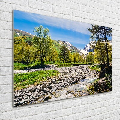 Wall art on glass River in the mountains